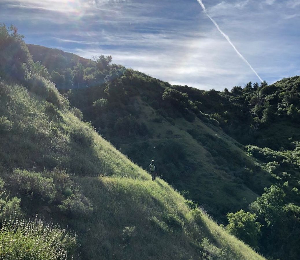 Hillside — Palo Alto therapy